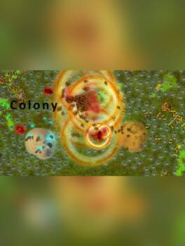 Colony