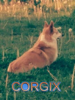 Corgix