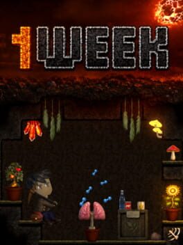 1Week