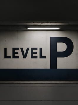 Level P