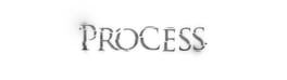 Process